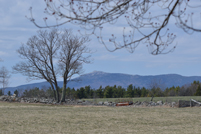 Mt. Monadnock - Witt Hill Rd Stone Wall - Spring